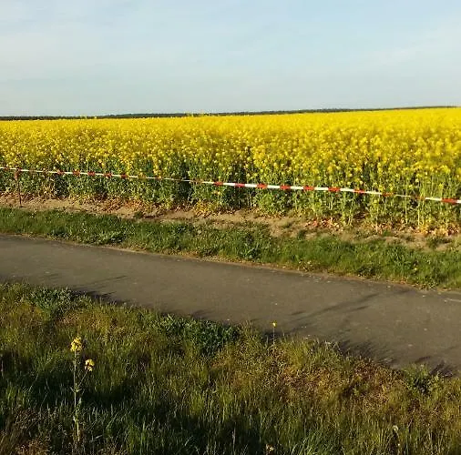 Natur-freude-19p Kotzen